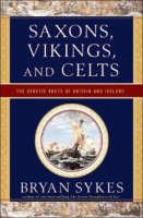 Saxons__vikings__and_celts